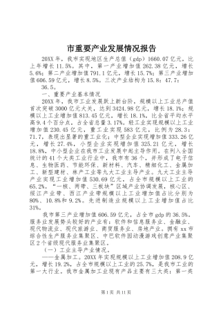 市重要产业发展情况报告