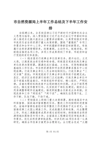 市自然资源局上半年工作总结及下半年工作安排