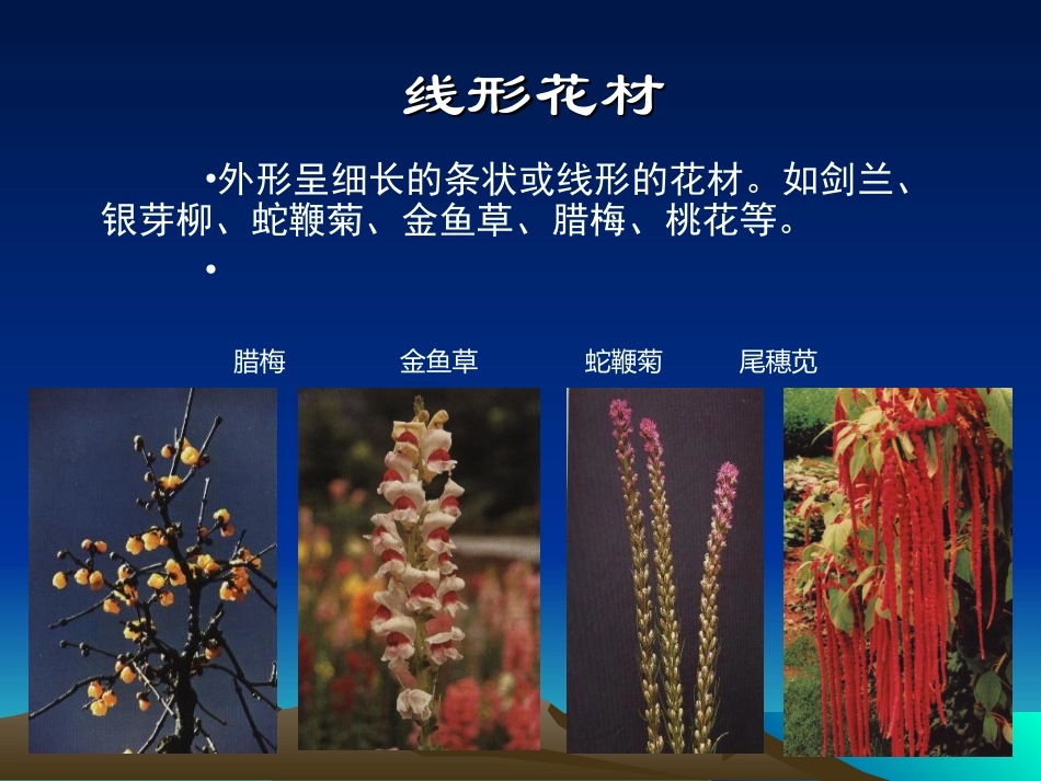 插花的步骤技巧和方法专题培训课件_第2页