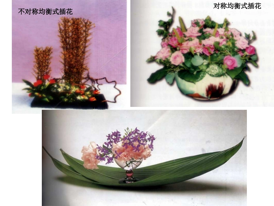 插花艺术的基本知识专题培训课件_第1页