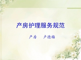 产房护理服务规范
