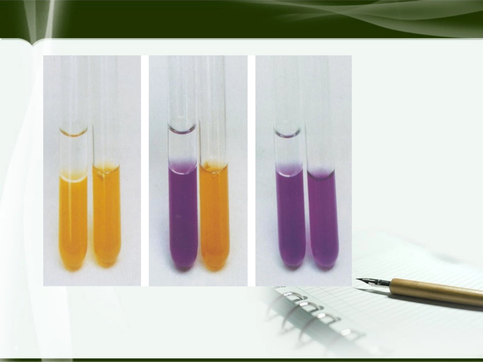 肠杆菌科细菌介绍_第3页