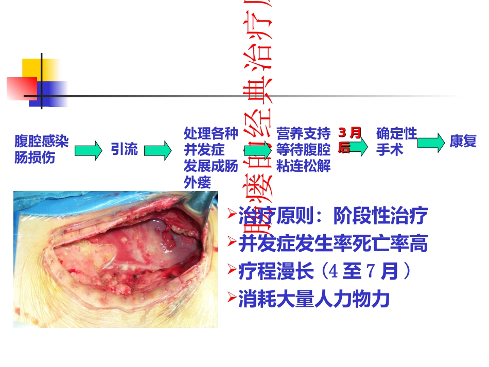 肠瘘病人的营养支持讲义_第3页