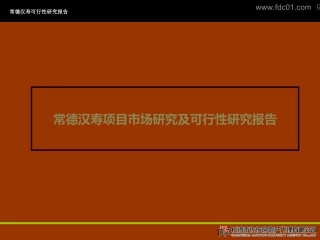 常德汉寿项目市场研究及可行性研究报告