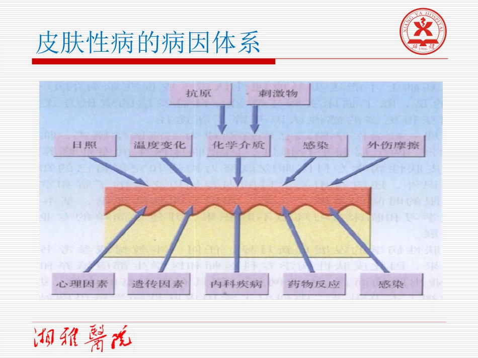 常见皮肤病的诊疗和治疗课件_第3页