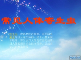 常见人体寄生虫