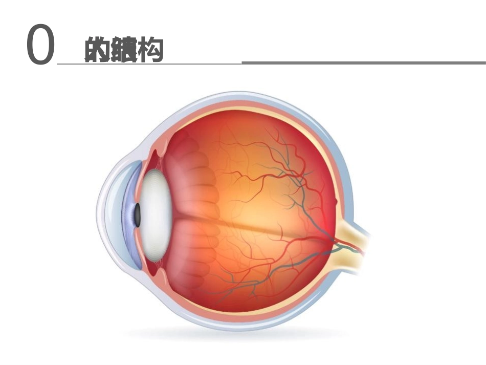 常见眼病和近视防控_第2页