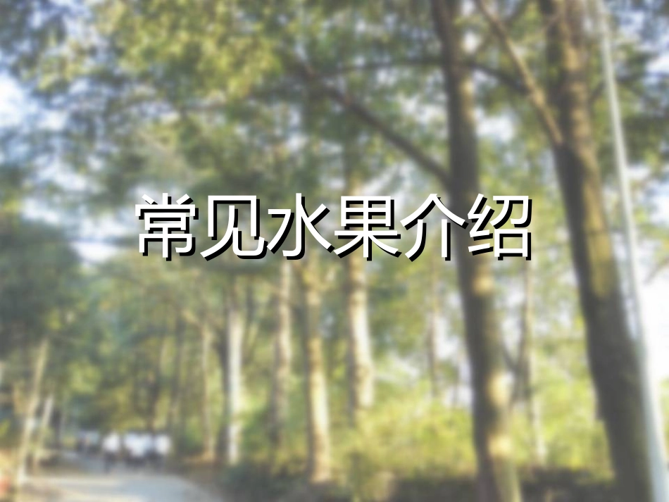 常见植物介绍_第2页