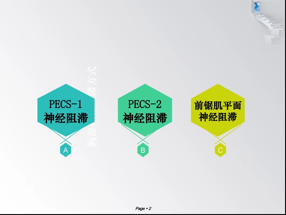 超声引导下胸腹部神经阻滞_第2页
