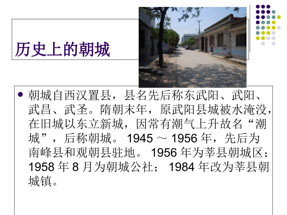 朝城调研报告_第3页