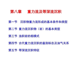 沉积学原理重力流及等深流沉积