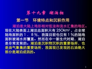 沉积岩沉积相湖泊相