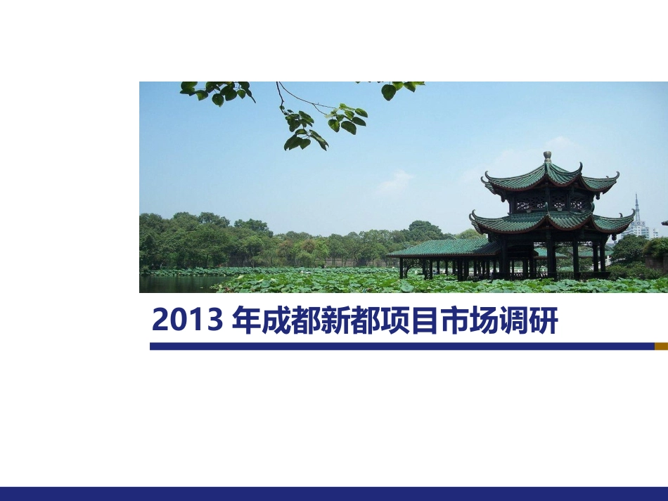 成都新都地块可行性分析报告_第1页