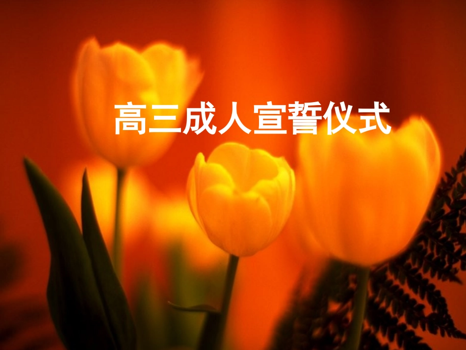 成人仪式成人礼课件_第1页