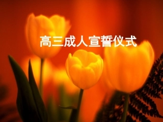 成人仪式成人礼课件