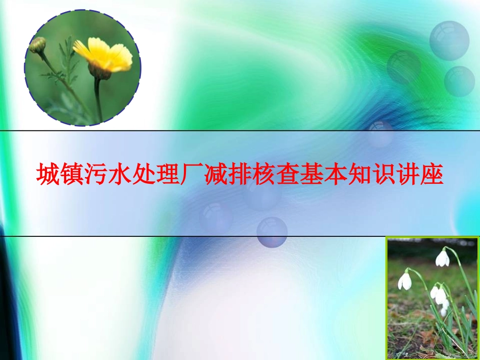 城镇污水处理厂工艺全套培训课件_第1页