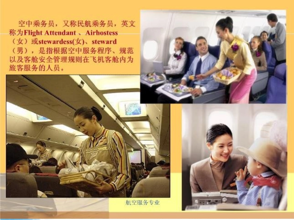 乘务员基础知识_第2页