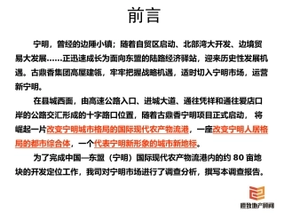 崇左市宁明县市场调查分析报告