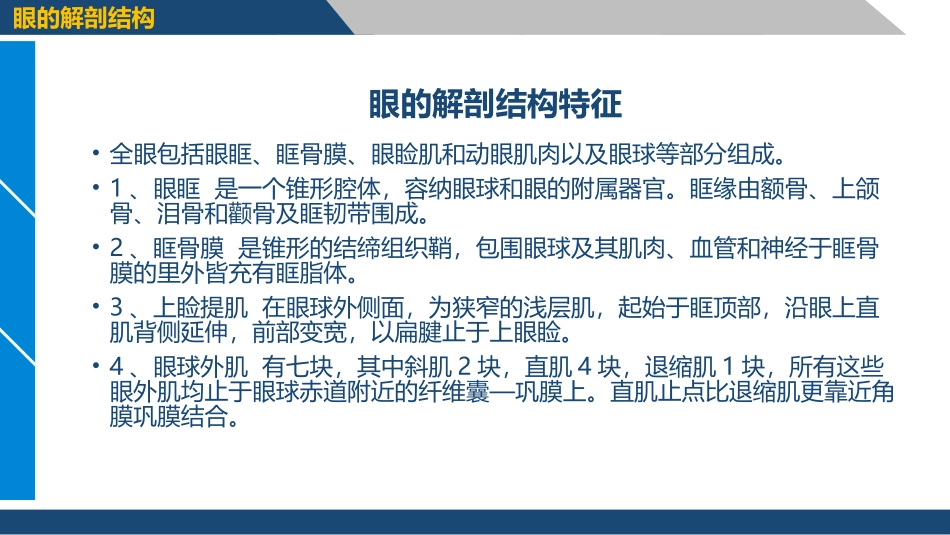 宠物外产科病课件眼的解剖结构_第3页