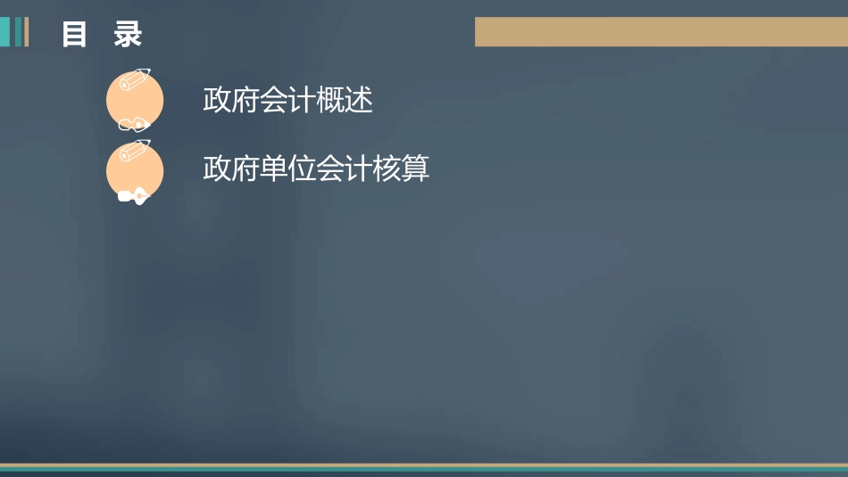 初级会计实务政府会计基础_第2页