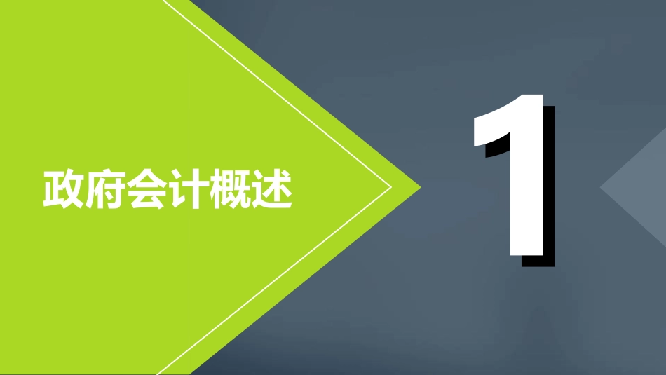 初级会计实务政府会计基础_第3页