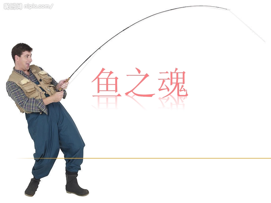 初学钓鱼指南_第1页