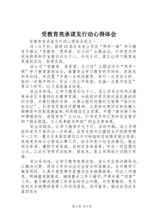 受教育亮承诺见行动心得体会