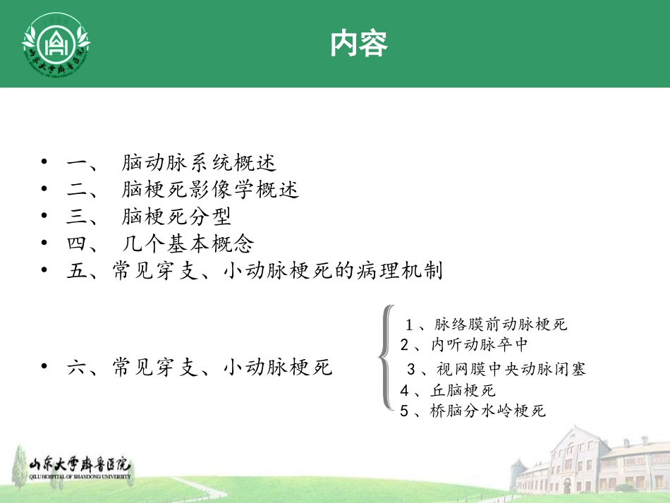 穿支动脉梗死_第2页