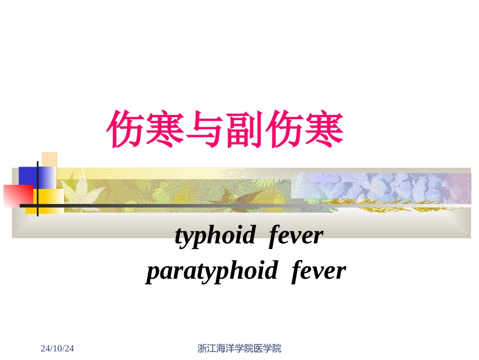 传染学之伤寒与副伤寒_第1页