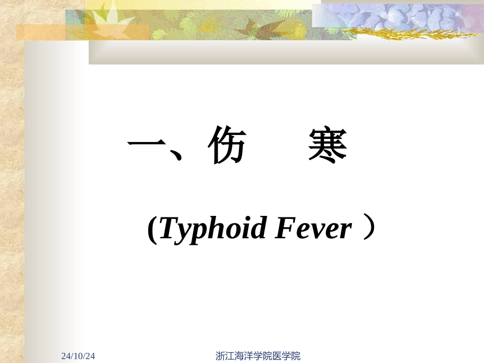 传染学之伤寒与副伤寒_第2页