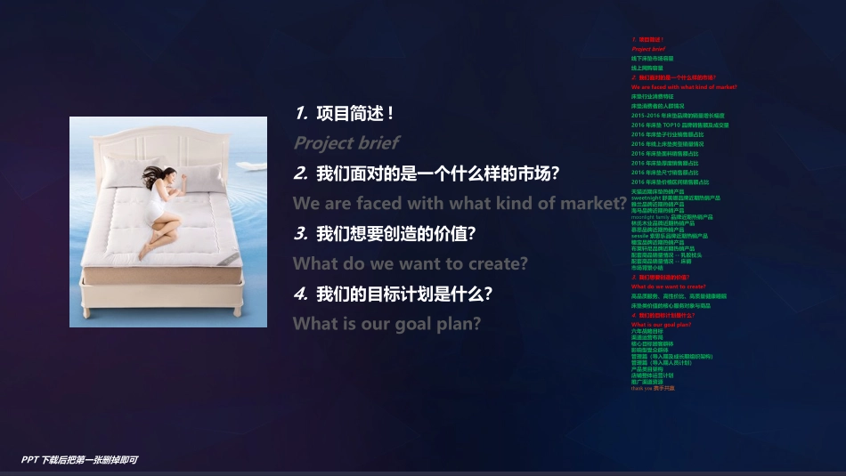 床垫运营方案市场分析数据报告_第1页