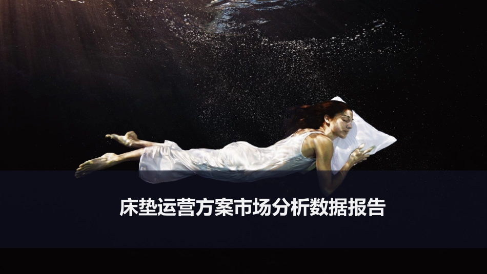 床垫运营方案市场分析数据报告_第2页