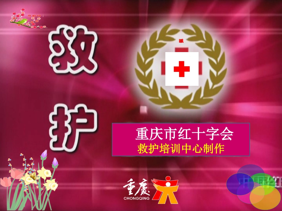 创伤急救四项技术_第1页