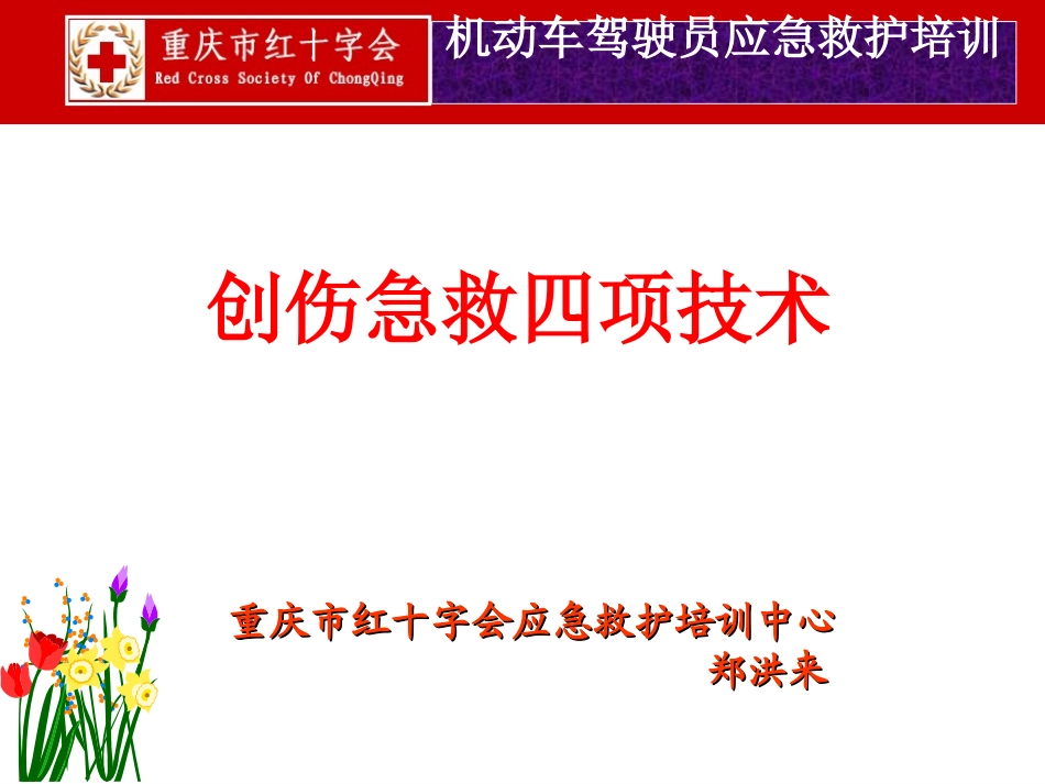 创伤急救四项技术_第3页