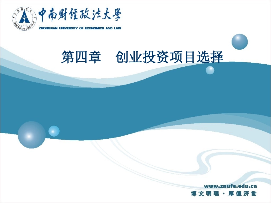 创业投资项目选择_第1页