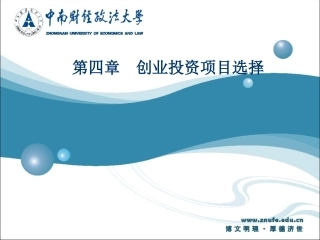 创业投资项目选择