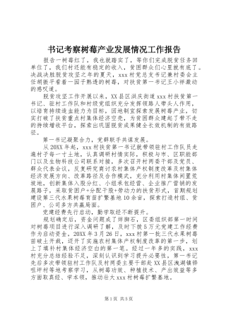 书记考察树莓产业发展情况工作报告