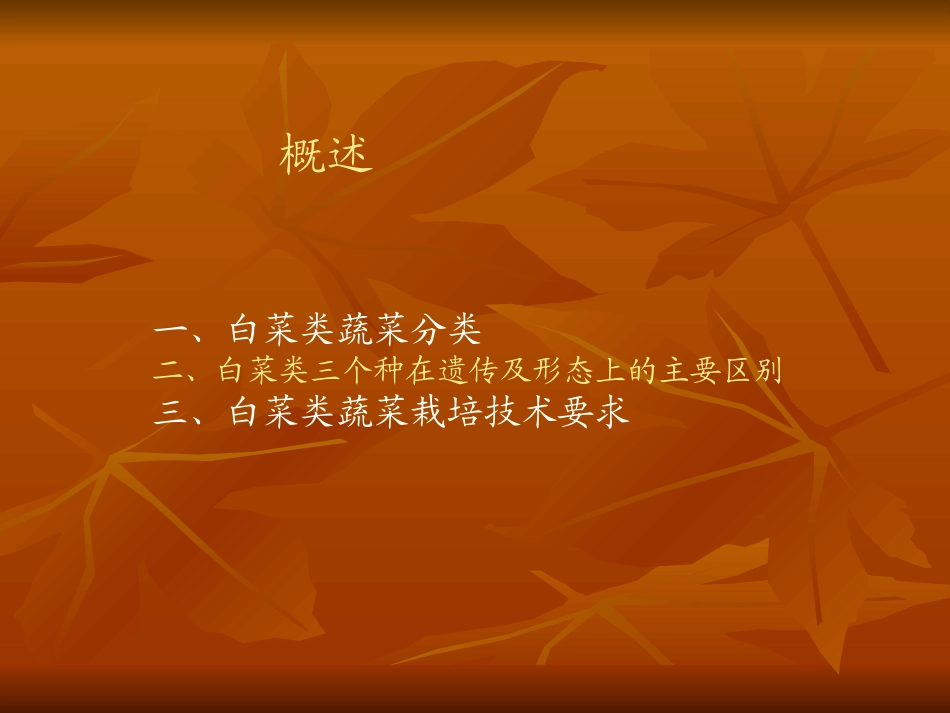 大白菜类蔬菜_第2页