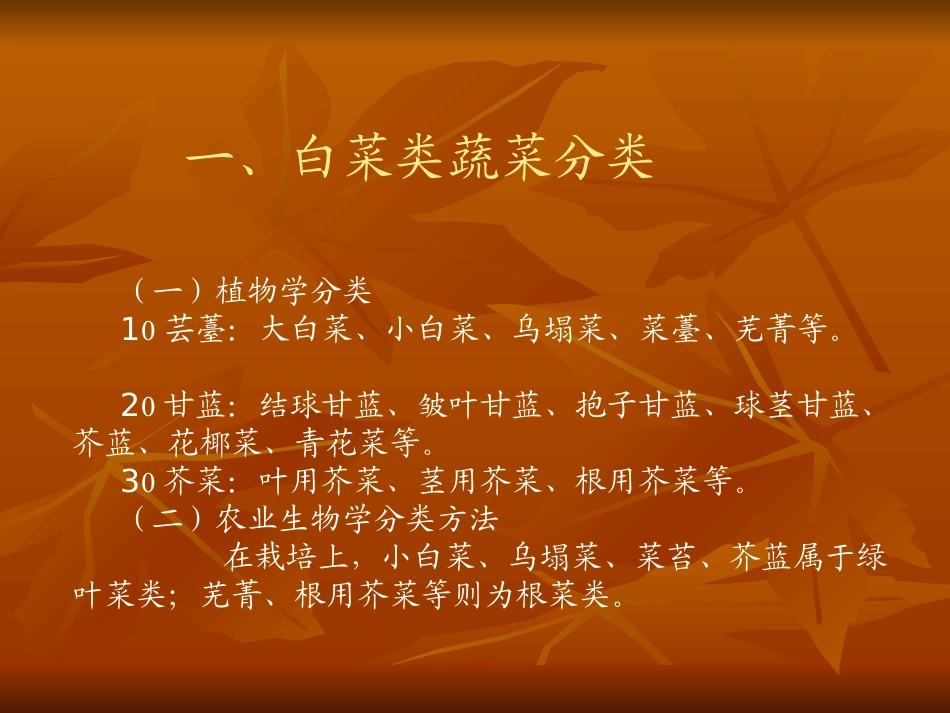 大白菜类蔬菜_第3页