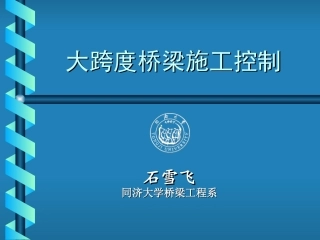 大跨度桥梁施工控制石雪飞同济大学桥梁系