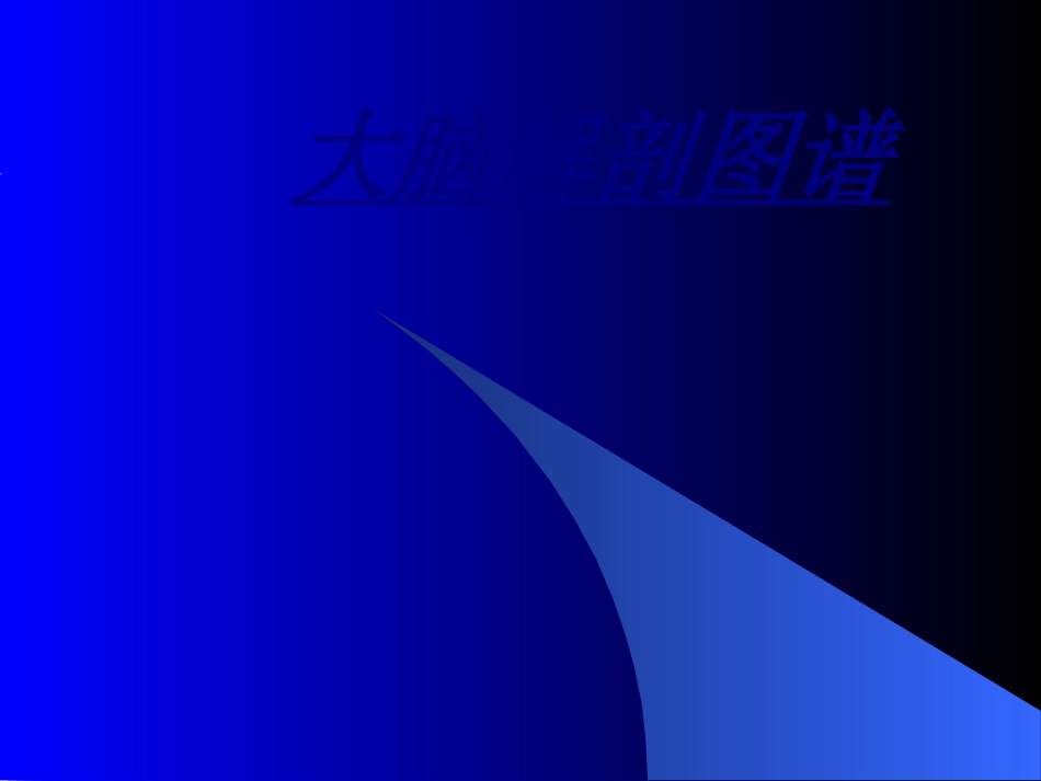 大脑解剖图谱讲义_第1页