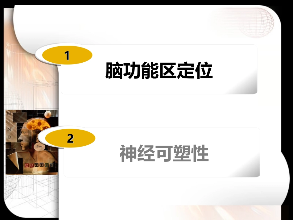 大脑与神经可塑性_第2页