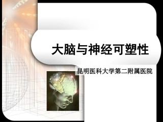 大脑与神经可塑性