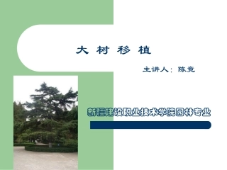 大树移植课件