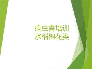 大田作物常见病虫害田课件