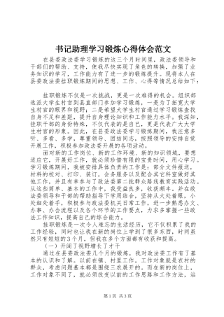 书记助理学习锻炼心得体会范文