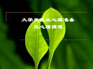 大学生就业心理准备及心理调适