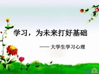 大学生心理健康教育学习心理课件