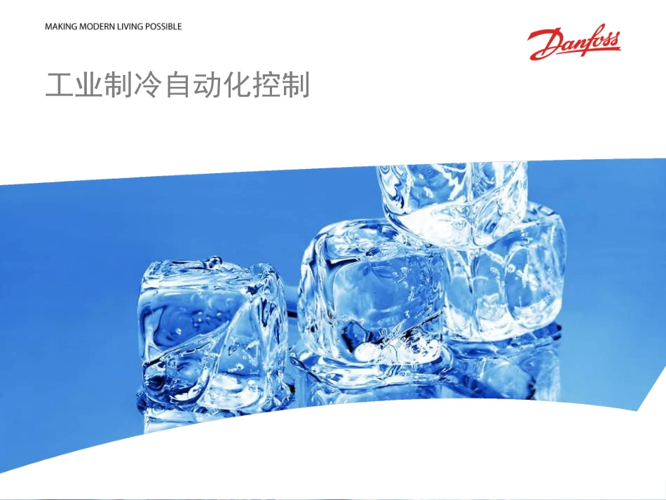 丹佛斯内部培训资料_第1页