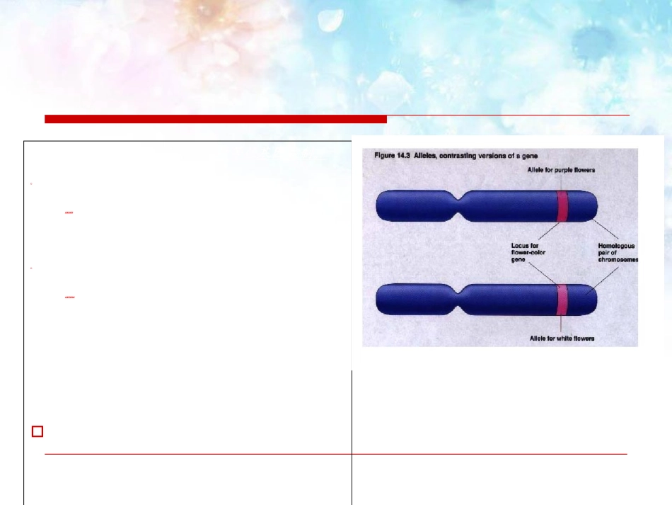 单基因遗与单基因遗传病_第3页